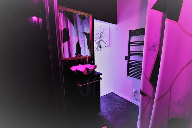 Love Room Fécamp - Appartement 3 - Love’nSpa - weekend en amoureux, love rooms avec spa ou jacuzzi privatif