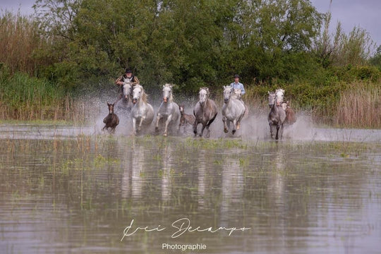 Mas du pont rouge - Love’nSpa - weekend en amoureux, love rooms avec spa ou jacuzzi privatif