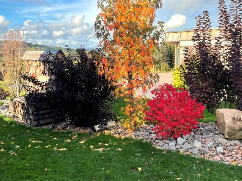 Nature Cottage Vosges - Cottage avec spa privatif - Love’nSpa - weekend en amoureux, love rooms avec spa ou jacuzzi privatif10 de Nature Cottage Vosges - Cottage L'Ecureuil
