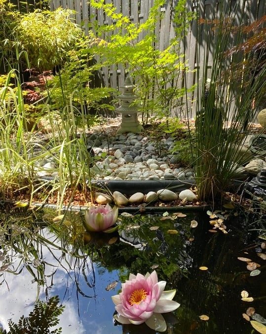 Oz Love Suite - Love’nSpa - weekend en amoureux, love rooms avec spa ou jacuzzi privatif5 de Oz Love Suite
