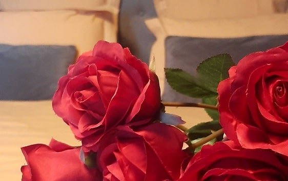 Rêves de spa - Love’nSpa - weekend en amoureux, love rooms avec spa ou jacuzzi privatif13 de Rêves de spa - Suite ONYX
