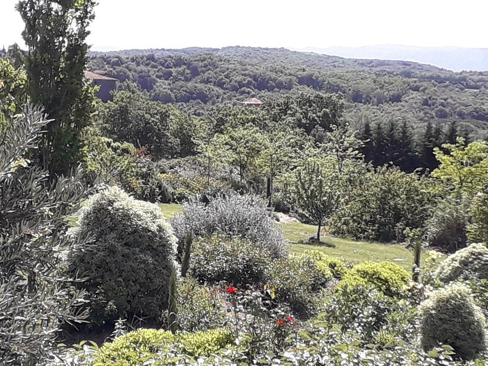 Trésors de Campagne -Lodge sur pilotis « Miel et Coton » avec jacuzzi privatif - Love’nSpa - weekend en amoureux, love rooms avec spa ou jacuzzi privatif7 de Trésors de Campagne -Lodge sur pilotis Miel et Coton avec jacuzzi privatif
